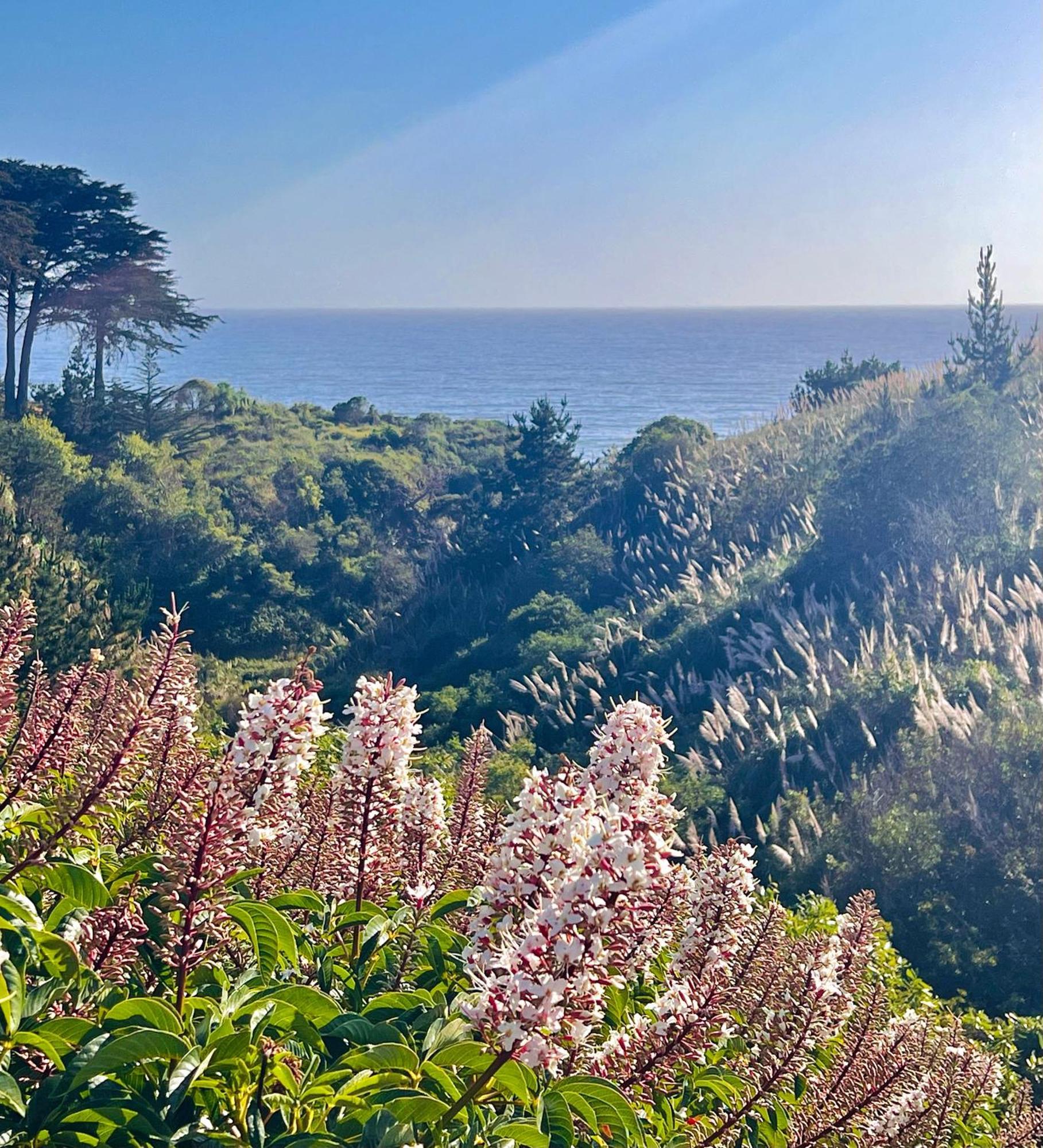 Royal Villa - Ocean View - Heated Pools - Seascape'S Best 1 Bedroom - 3 Beds - End Unit Aptos Esterno foto